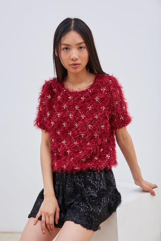 TOP PLUMEUX À PAILLETTES